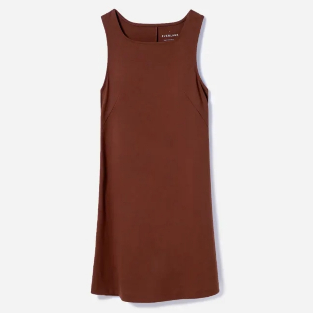 Everlane Party of One Tank Dress- Red Brown